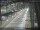 Webcam in Sydney, 607.6 km entfernt