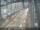 Webcam in Sydney, 0.9 mi away