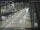Webcam in Sydney, 672.8 km