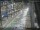 Webcam in Sydney, 5.3 mi away