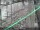 Webcam in Sydney, 1073 km