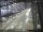 Webcam in Sydney, 294.7 mi away