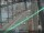 Webcam in Sydney, 0.8 km entfernt