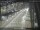 Webcam in Sydney, 607.6 km entfernt