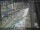 Webcam in Sydney, 715 km entfernt