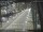 Webcam in Sydney, 720.9 km