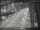 Webcam in Sydney, 747.4 km