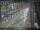 Webcam in Sydney, 258.2 mi away