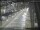 Webcam in Sydney, 679.9 km entfernt