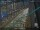 Webcam in Sydney, 566.8 km