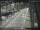 Webcam in Sydney, 287 mi away