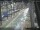 Webcam in Sydney, 687 km