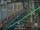 Webcam in Sydney, 1049.6 km