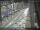 Webcam in Sydney, 709.2 km