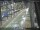 Webcam in Sydney, 290 mi away