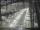 Webcam in Sydney, 11.9 mi away
