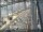 Webcam in Sydney, 372.2 km
