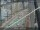 Webcam in Sydney, 273.2 mi away