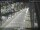 Webcam in Sydney, 505.5 km