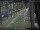 Webcam in Sydney, 730.5 km entfernt
