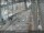Webcam in Sydney, 747.4 km
