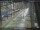 Webcam in Sydney, 234.4 mi away