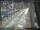 Webcam in Sydney, 685.3 km entfernt