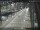 Webcam in Sydney, 258.9 mi away