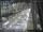 Webcam in Sydney, 924.5 km entfernt