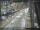 Webcam in Sydney, 5.7 mi away