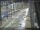 Webcam in Sydney, 675.6 km