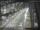 Webcam in Sydney, 1.1 km entfernt