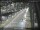 Webcam in Sydney, 286.1 mi away