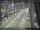 Webcam in Sydney, 679.9 km
