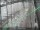 Webcam in Sydney, 715 km entfernt