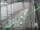 Webcam in Sydney, 720.8 km