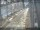 Webcam in Sydney, 280.9 mi away