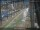 Webcam in Sydney, 7.5 km entfernt