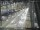 Webcam in Sydney, 623.2 km