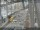 Webcam in Sydney, 60.6 mi away