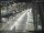 Webcam in Sydney, 293.7 mi away