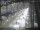Webcam in Sydney, 260.7 mi away