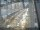 Webcam in Sydney, 450.6 mi away