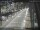 Webcam in Sydney, 259.6 mi away