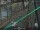 Webcam in Sydney, 6.2 km entfernt