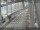 Webcam in Sydney, 734.9 km