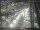 Webcam in Sydney, 195 mi away