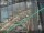Webcam in Sydney, 670.3 km entfernt