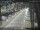 Webcam in Sydney, 679.9 km entfernt
