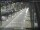 Webcam in Sydney, 195 mi away